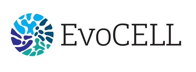 evocell logo copy