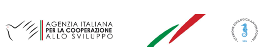 logo agenzia italiana