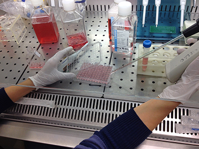 Bioassays for screening of bioactivity