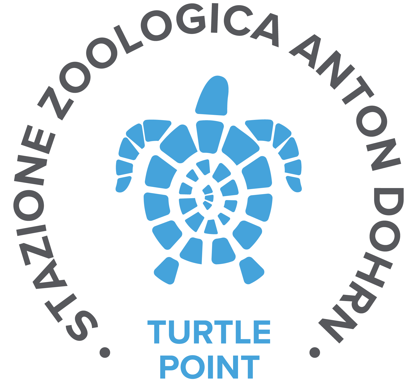 turtle point