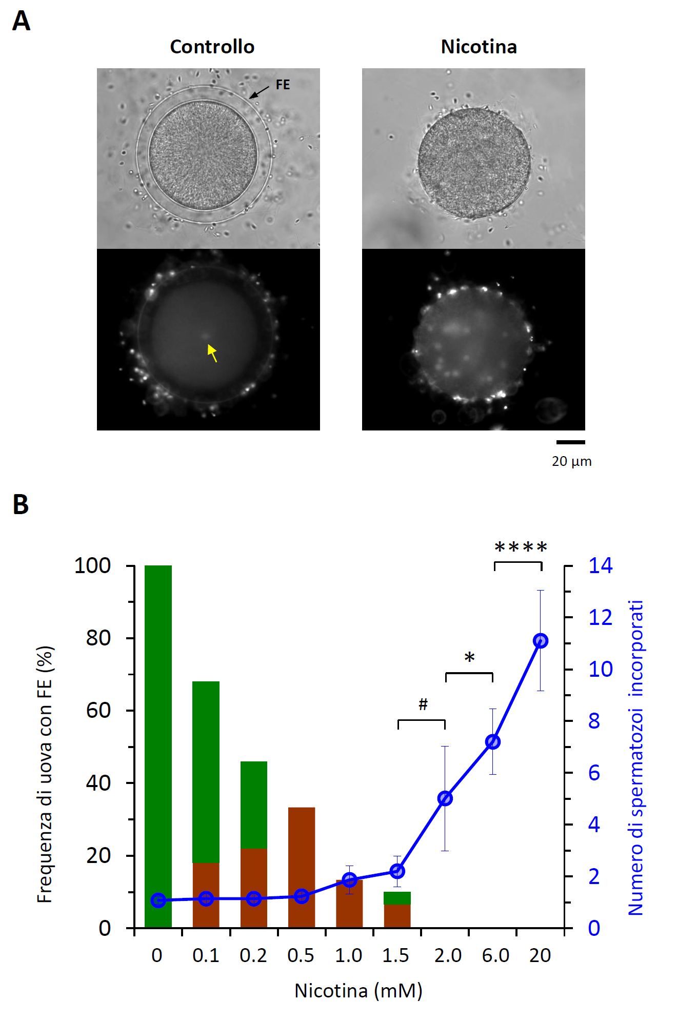 Fig 2 ITAL