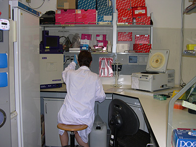 Laboratorio Biologia Molecolare