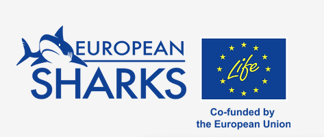 Life EU Sharks