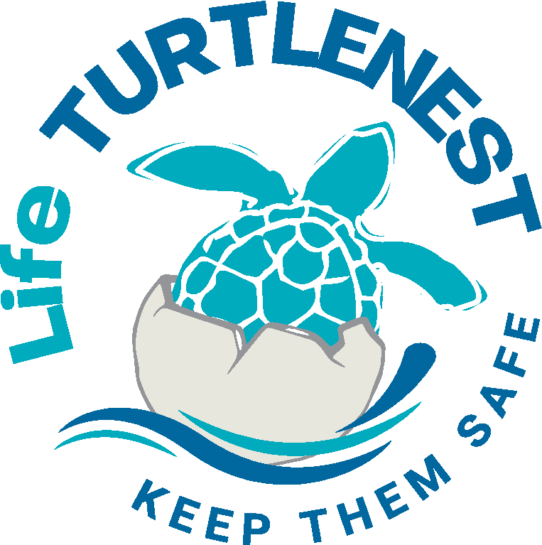 logo Life Turtle Nest