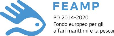 FEMAP