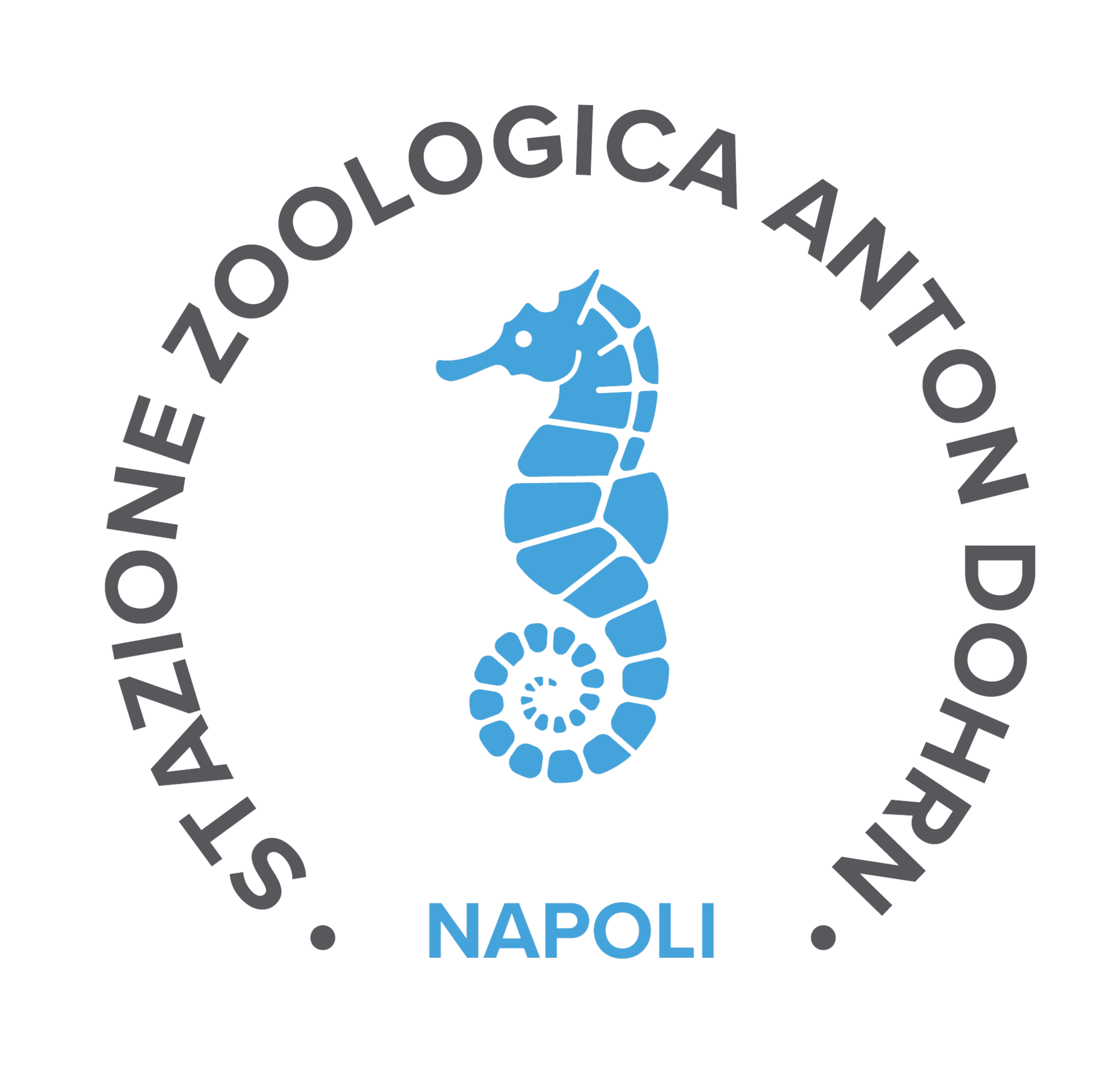 Logo trasp