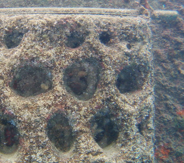 sezione piastrella