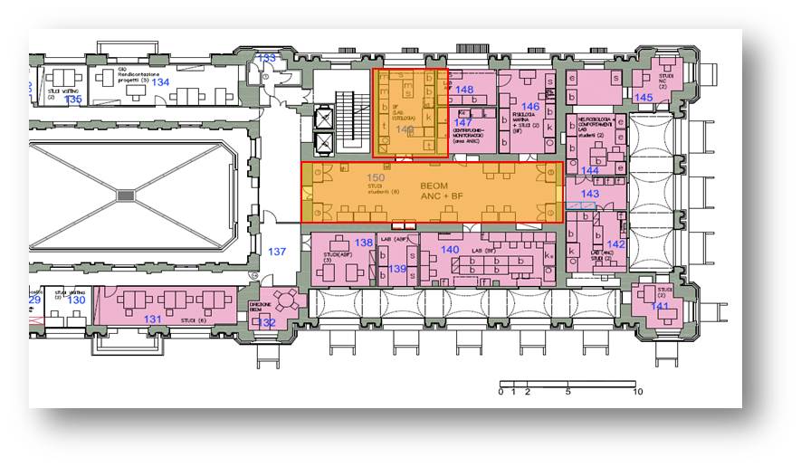 Istologia mappa