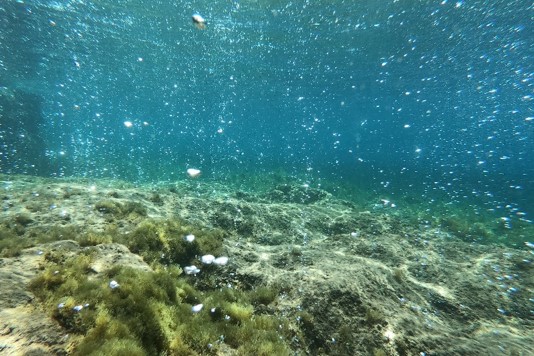 Geomicrobologia