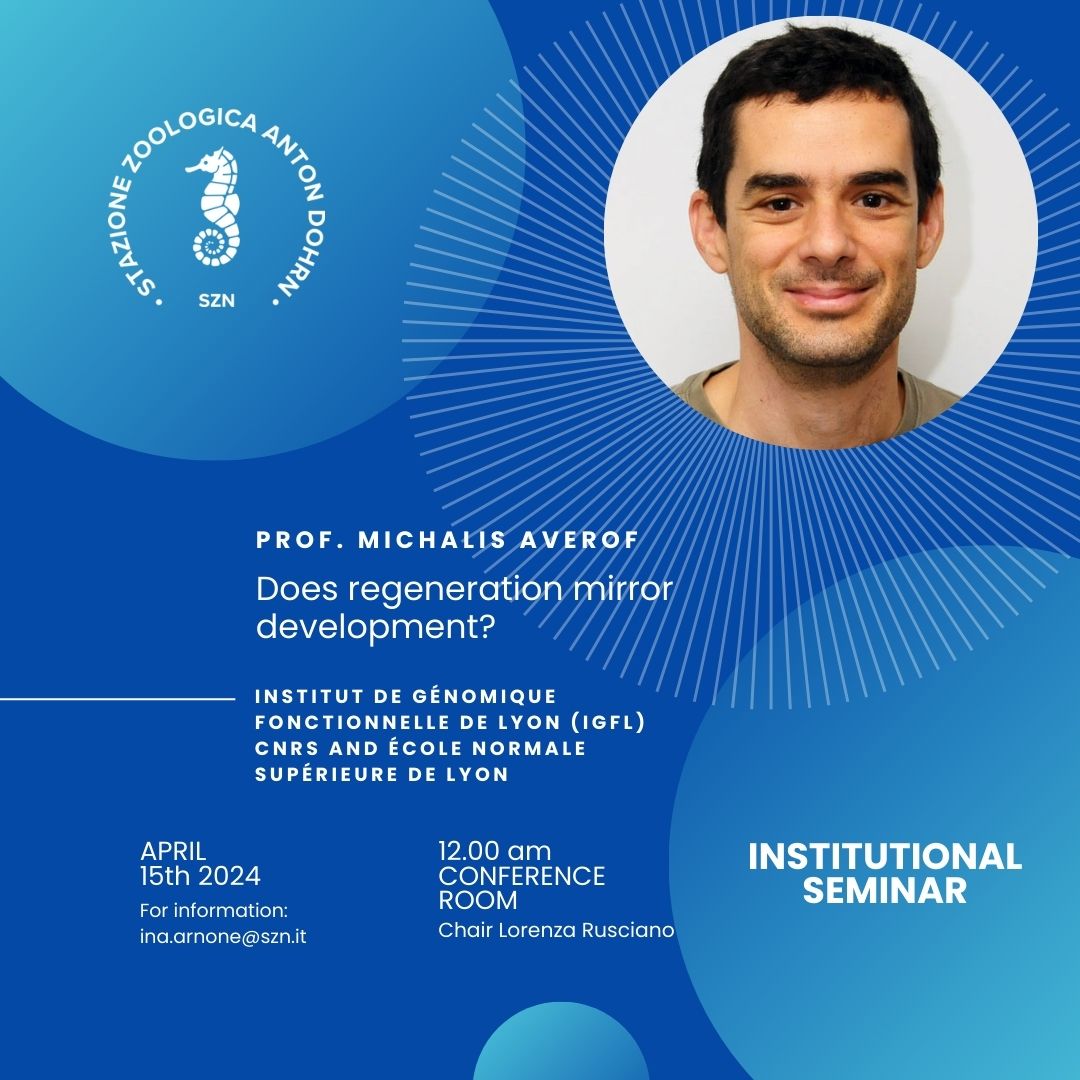 Prof. Averof 15 Aprile