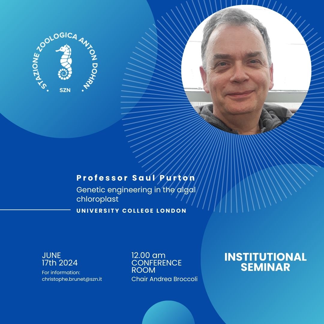 Prof. Purton 17 Giugno