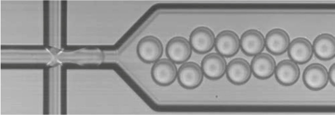 digital pcr2