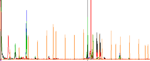 genotyping