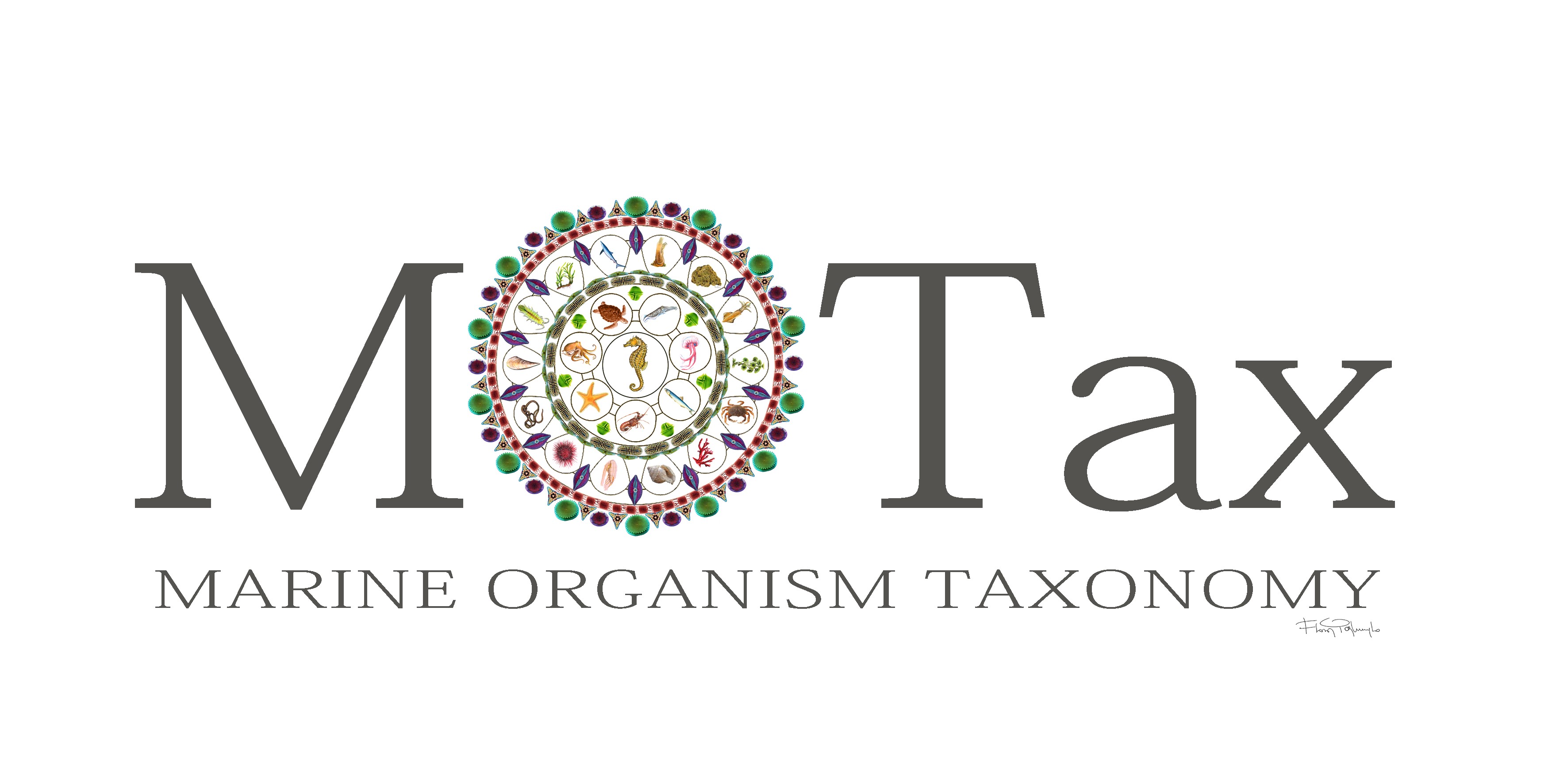 Logo 1 Color MOTAX