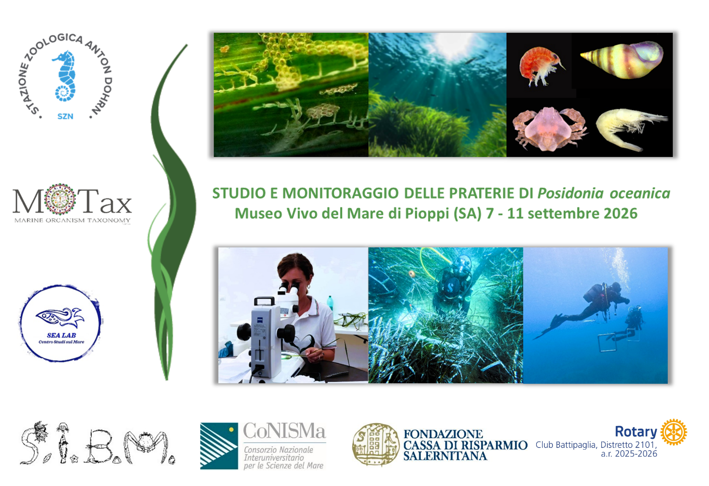 foto summer school posidonia 2026