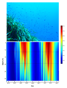 adaptive response