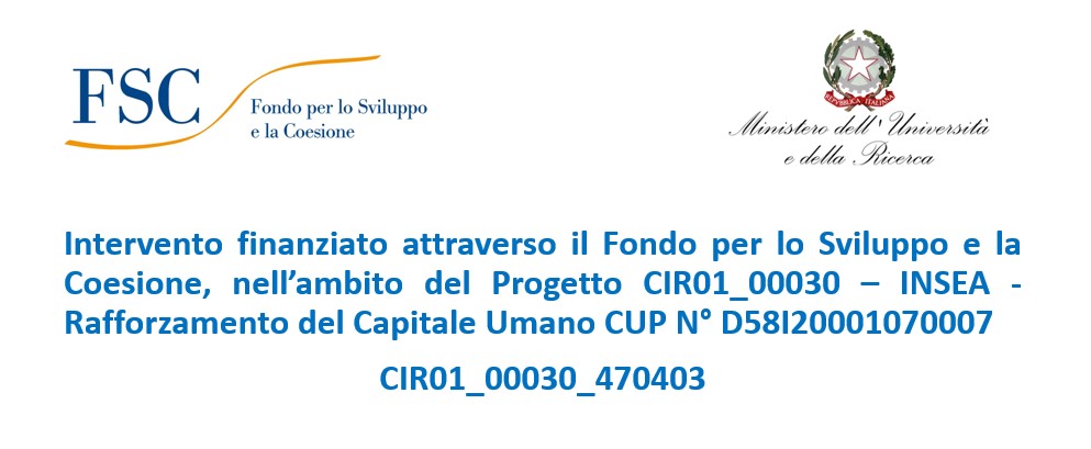 banner per sito capitale umano insea