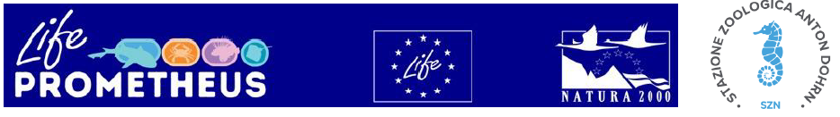 Logo life prometheus