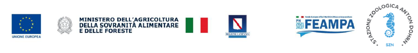 banner contratto di ricerca
