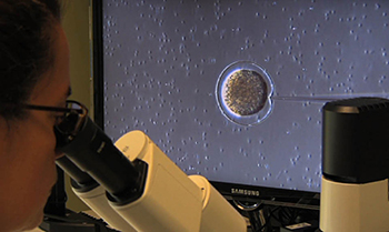 lab bio svil