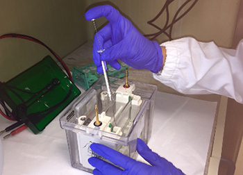 lab biochimarina