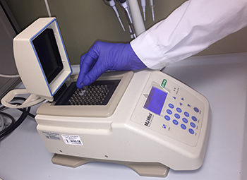 lab biochimarina
