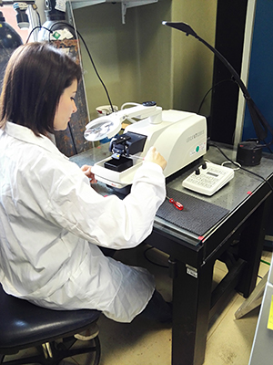 lab biocomportam