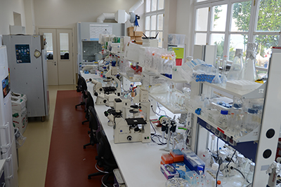Laboratorio di Biotecnologie marine