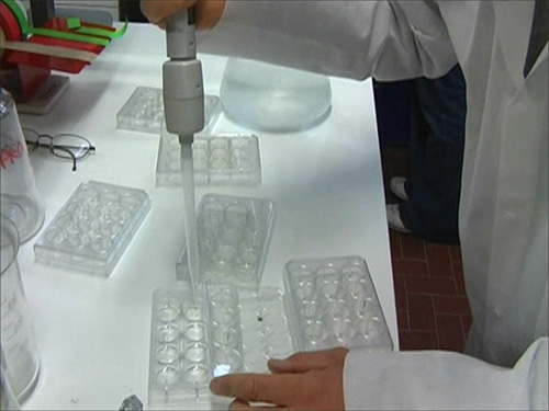 Experiment setup