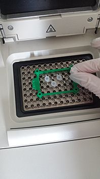 lab genomarina