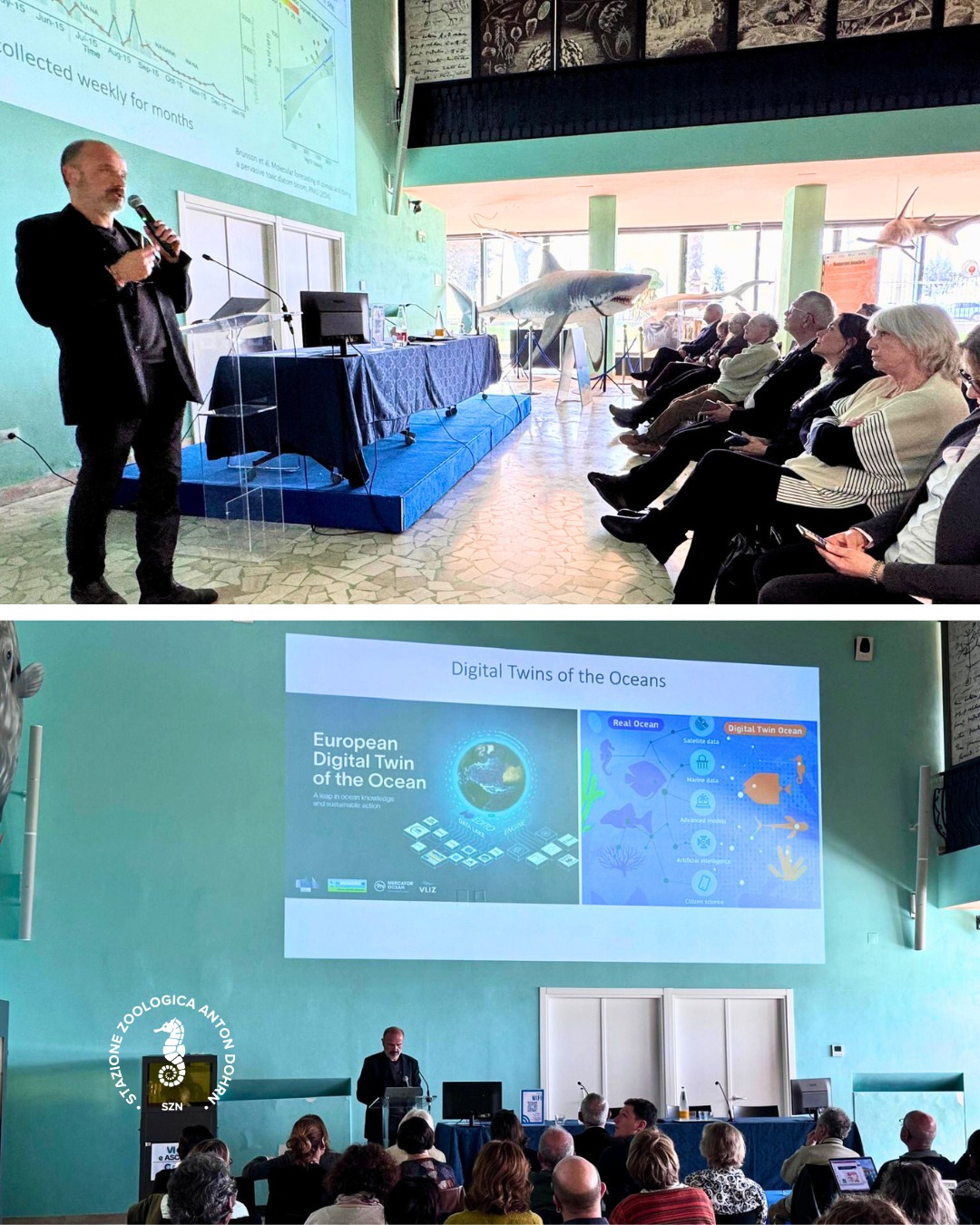 653237875 1292559276385286 6255301111722133330 n 8