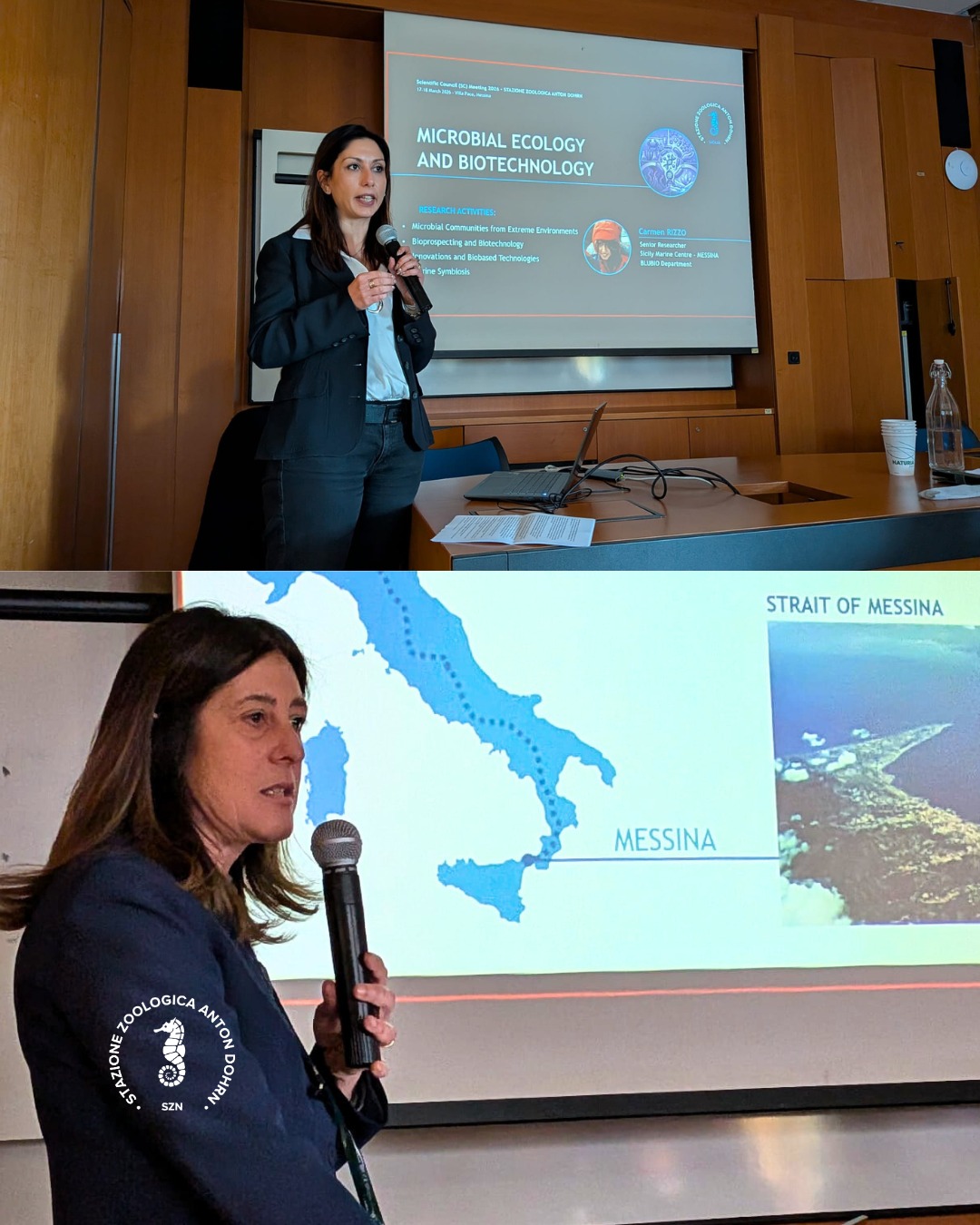 653721144 1295922399382307 7531500052483403355 n 6