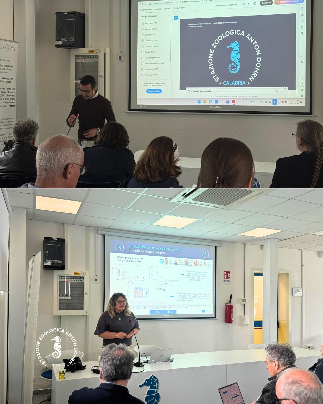 656087170 1295922402715640 8625538495510850290 n 2