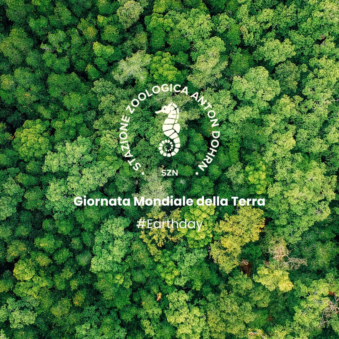 Earth day
