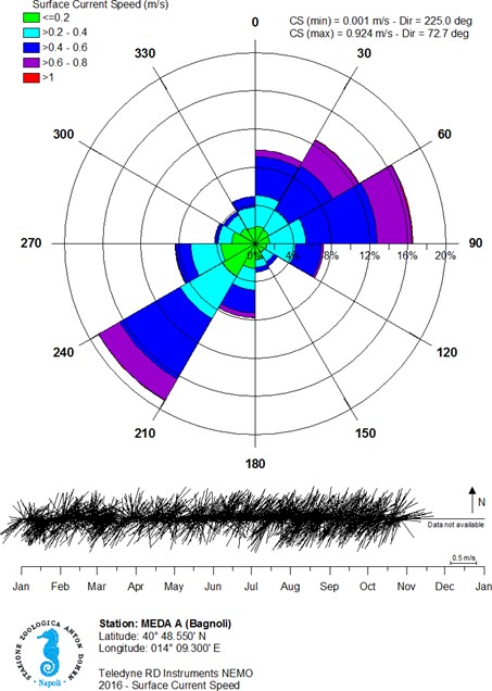 Grafico Correnti superficiali