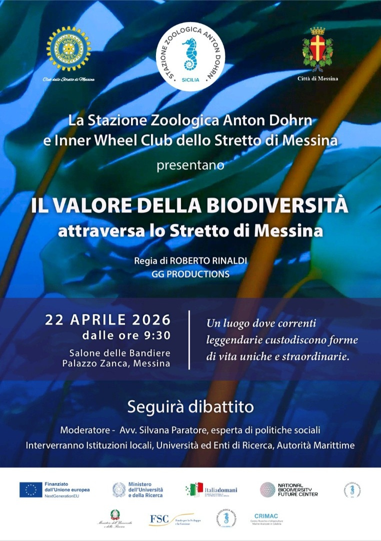 locandina 22 aprile 2026