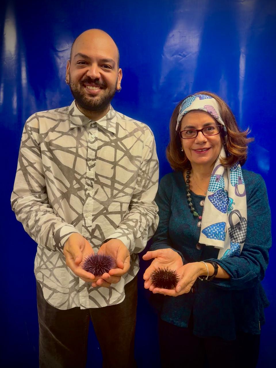 ricci di mare alla Stazione Zoologica