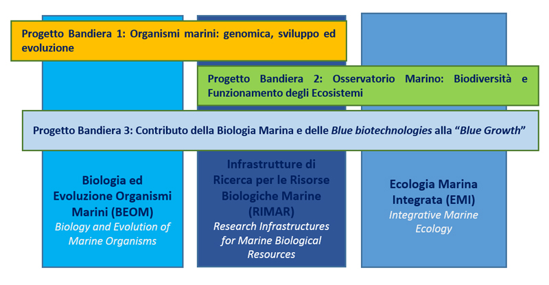 progetti bandiera