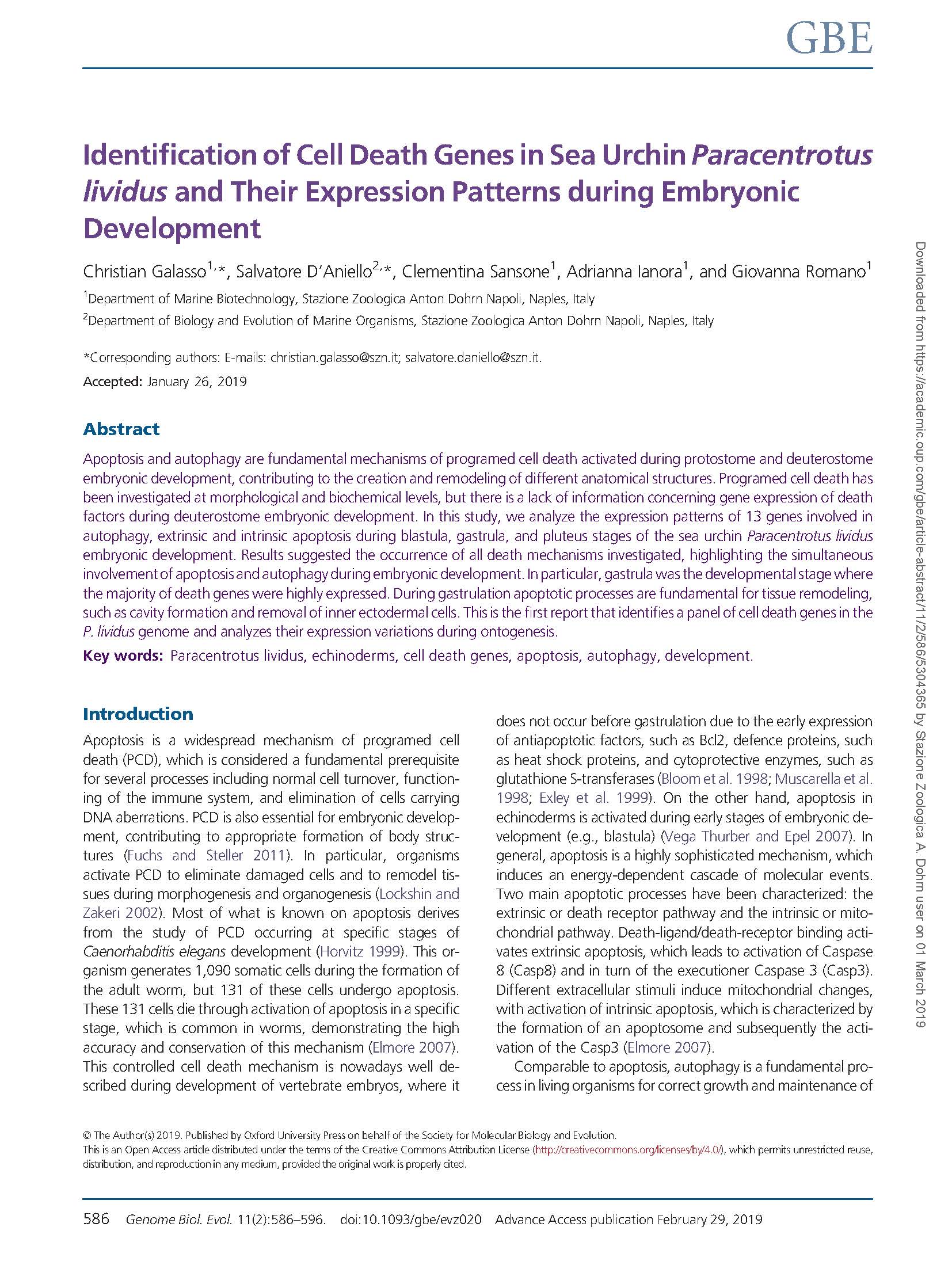 2019 Galasso et al Identification of cell death genes in sea urhcin Paracentrotus lividus and their expression patterns during embryonic de