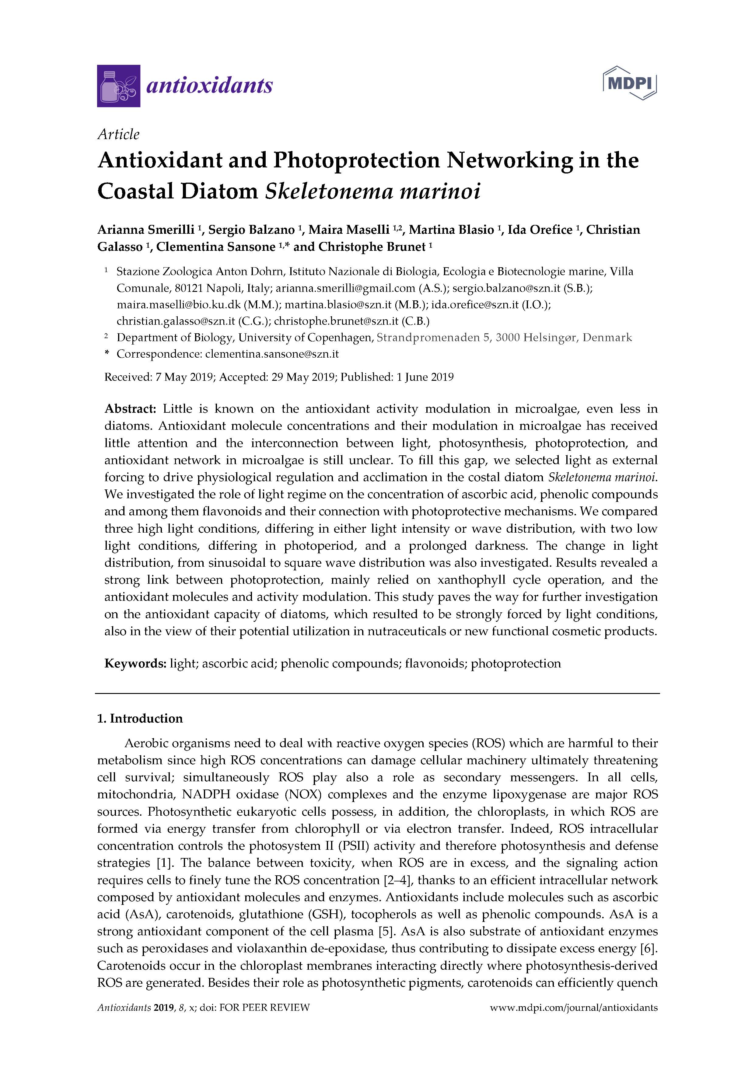 2019 Smerilli et al Antioxidant and Photoprotection Networking in the Coastal Diatom Skeletonema marinoi