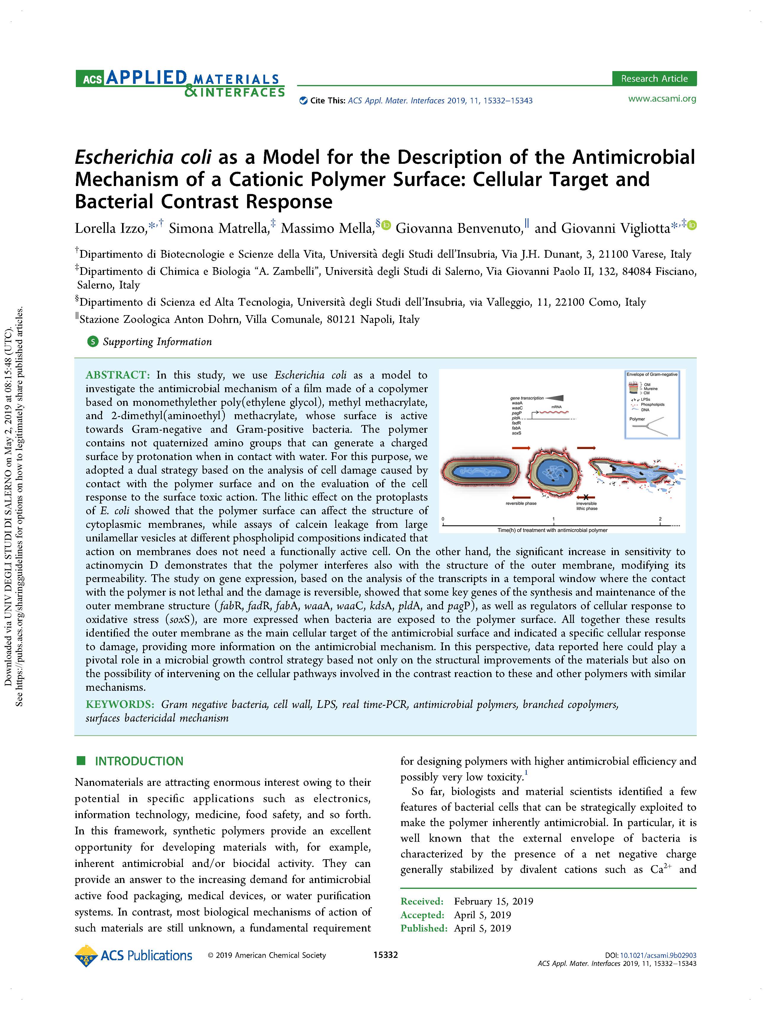 ACS Izzo et al 2019