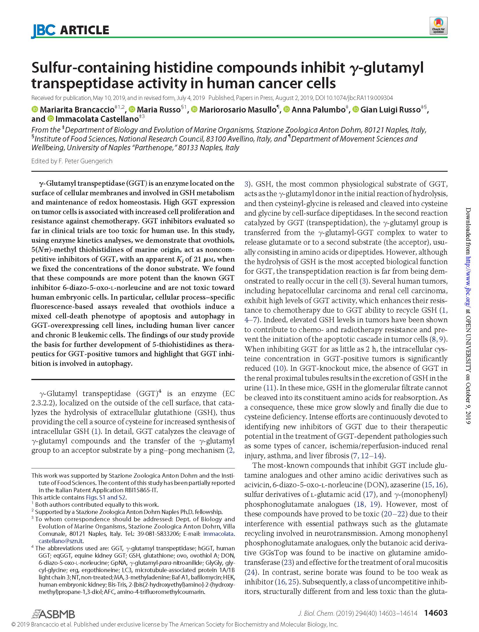 Brancaccio et al 2019 jbc