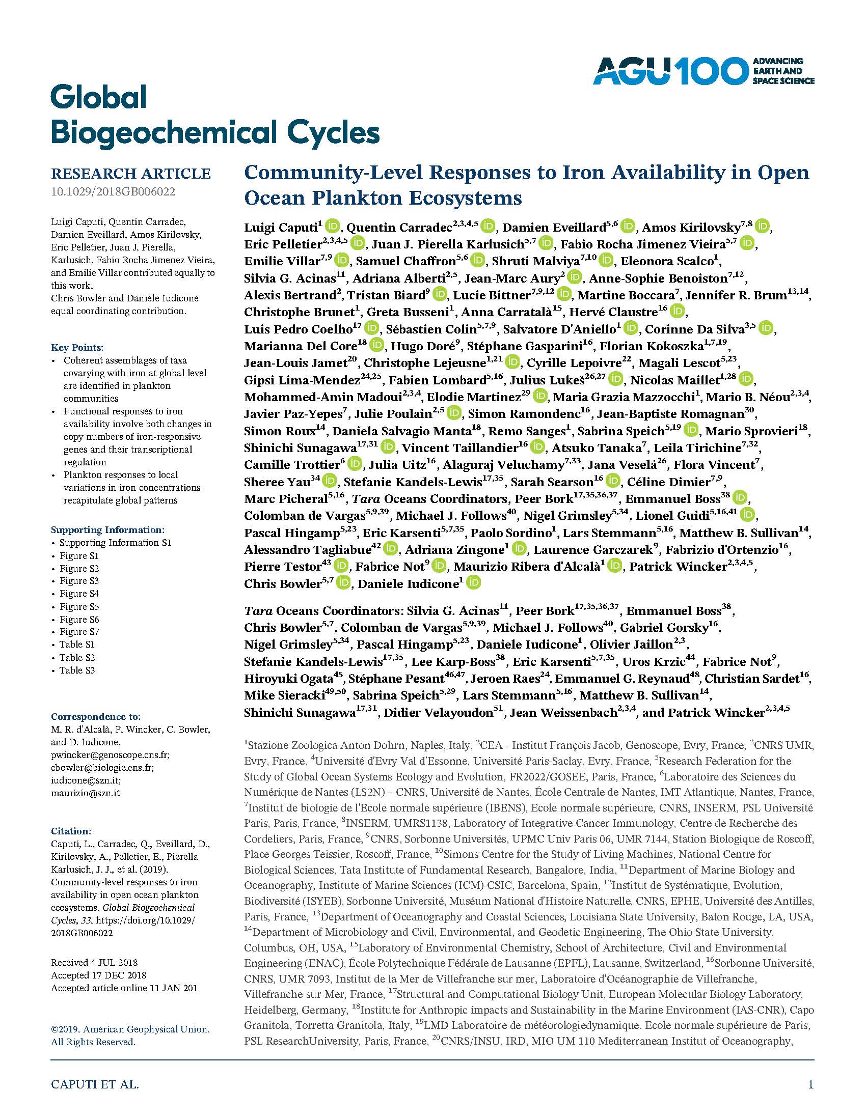 CommunityLevel Responses to Iron Availability in Open Ocean Plankton Ecosystems