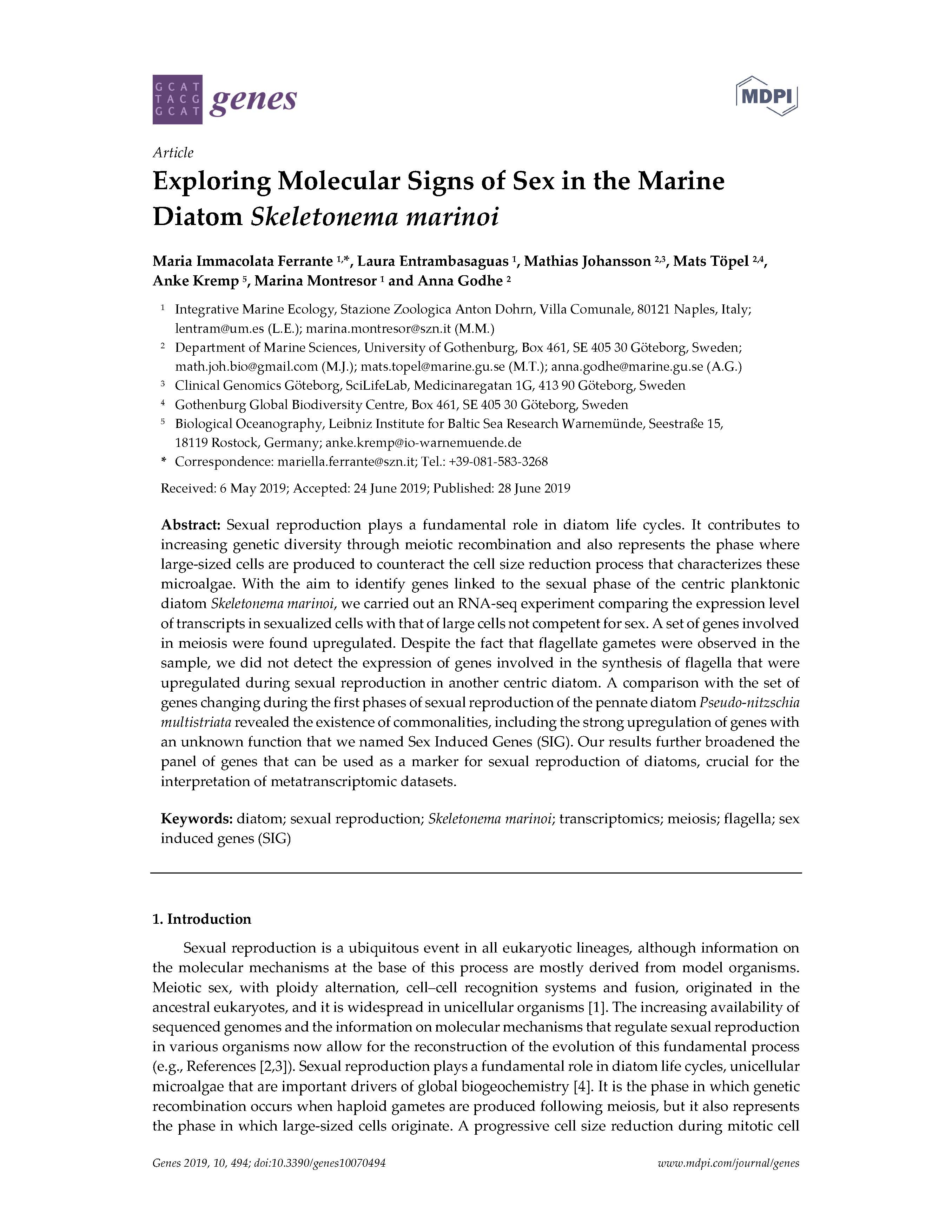 Ferrante et al 2019