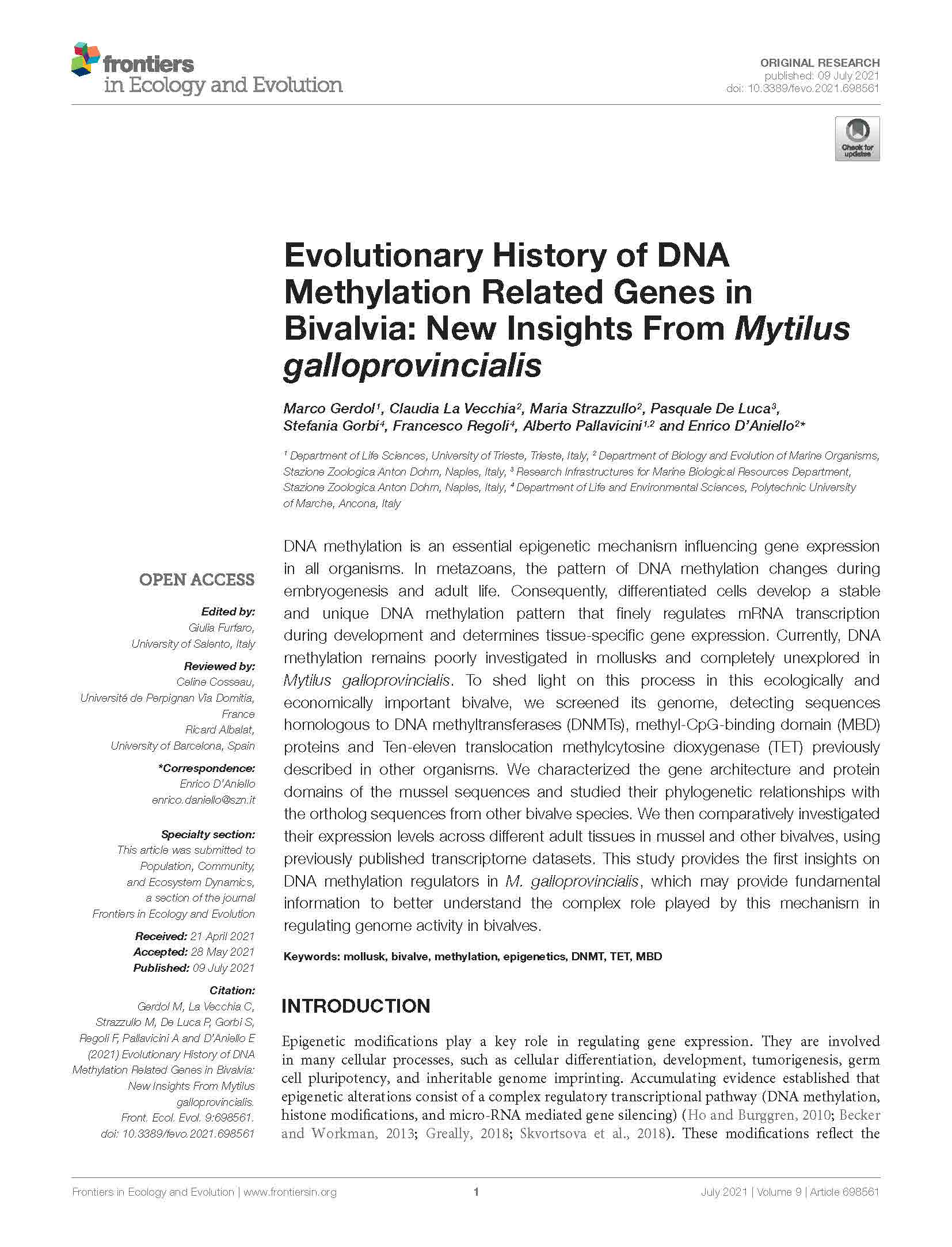 Evolutionary History of DNA Methylation Related Genes in Bivalvia New Insights From Mytilus galloprovincialis