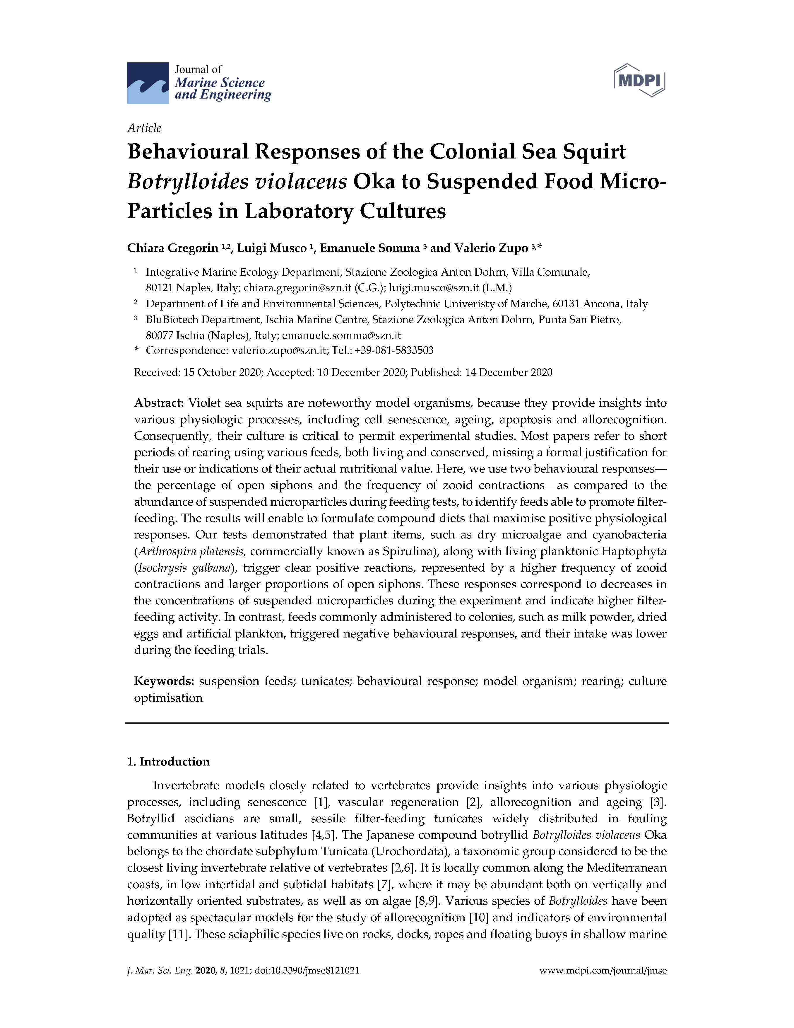 Gregorin et al 2020 Behavioural Responses of the Colonial Sea Squirt Botrylloides violaceus Oka to Suspended Food Micro Particles in Labor