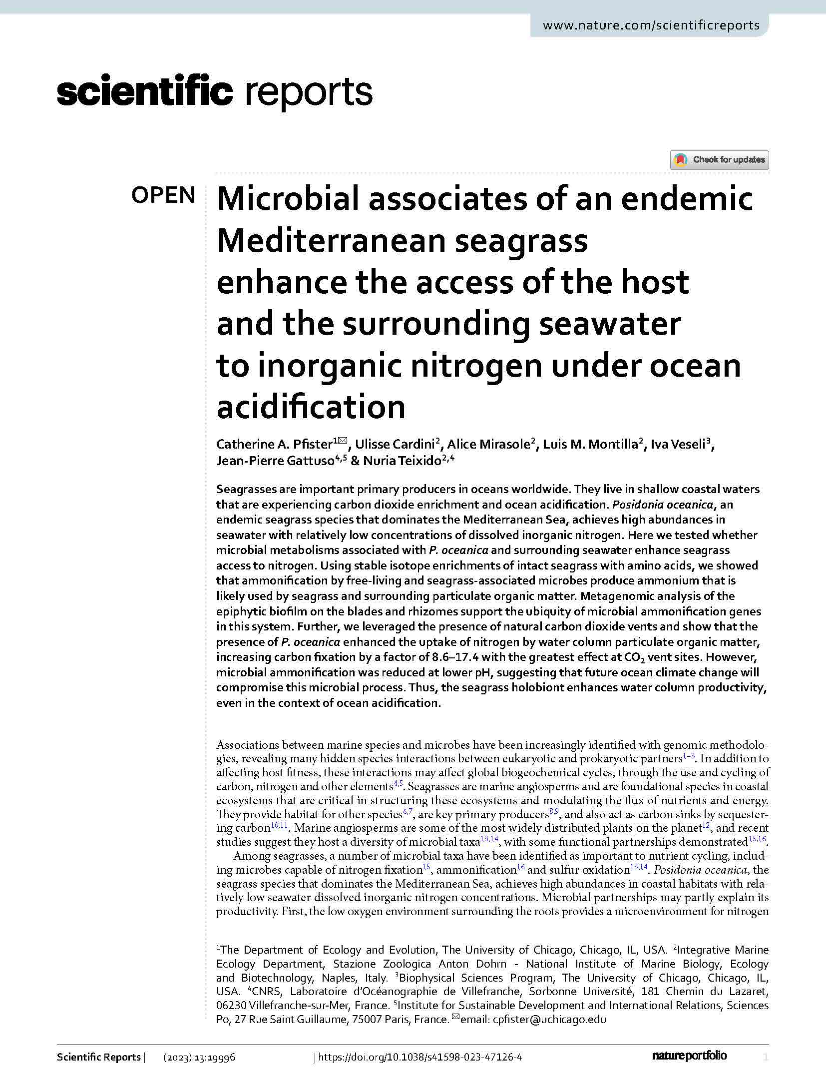 Pfisteretal 2023 Microbial associates Posidonia Ischia Scie Reports