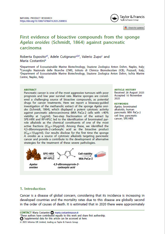 pubblicazione zupo costantini