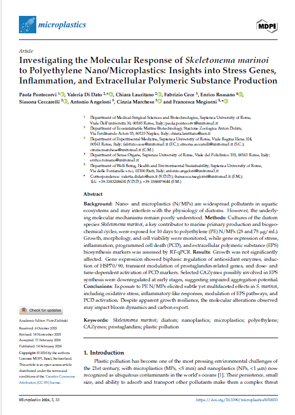 pubblicazione V.Di Dato
