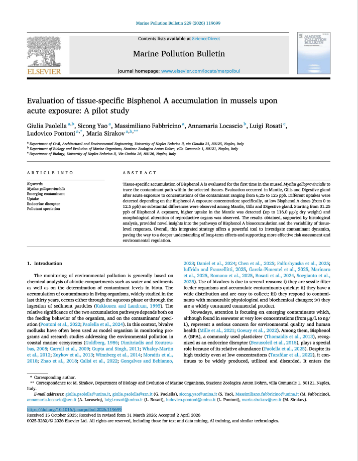 pubblicazione sirakov